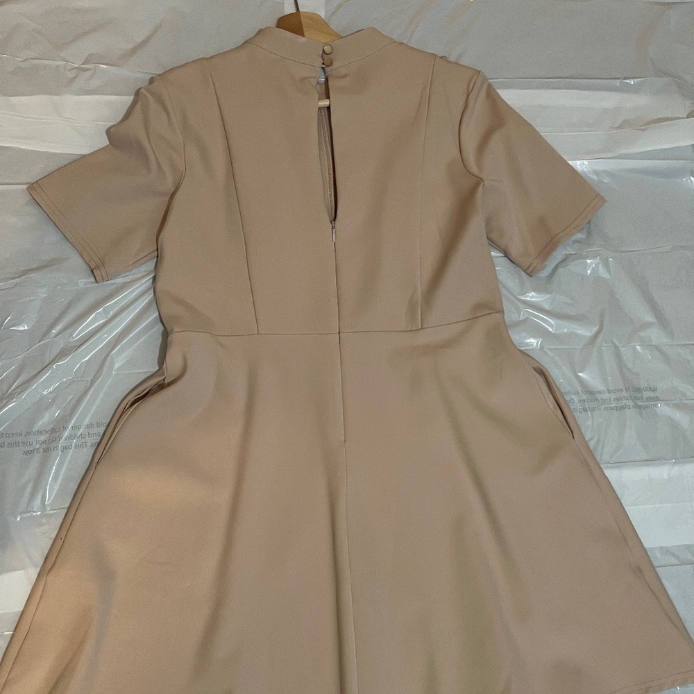 NWT ASOS Lace Panel Fit & Flare Dress Soft Taupe Beige/ Nude Beige Size US 12 - Picture 10 of 16